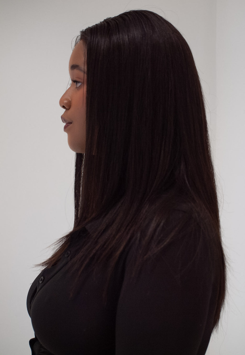 The Silk - Straight Wig